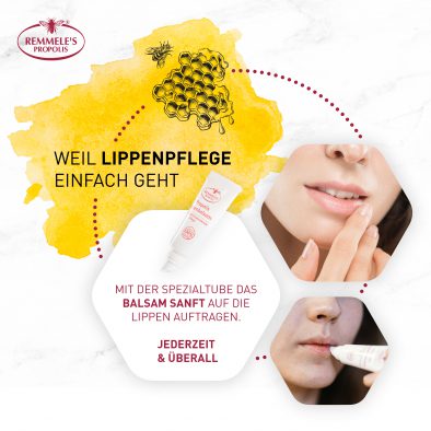 5 Anwendung
